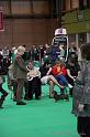 Crufts2011_2 941